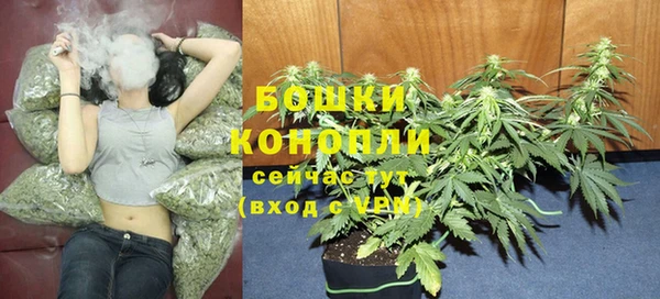 стафф Беломорск