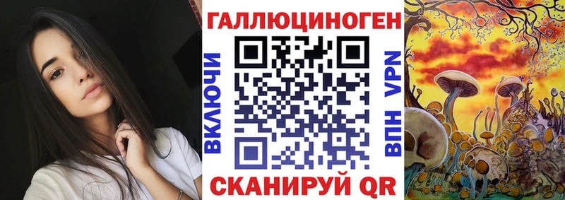 купить наркоту  Челябинск  Галлюциногенные грибы Psilocybine cubensis 